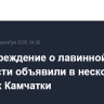 Предупреждение о лавинной опасности объявили в нескольких районах Камчатки