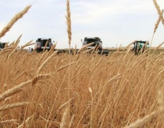 В Башкирии начался отбор претендентов на гранты «Агростартапа»