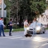 Невозмутимый бобр прогулялся по улицам российского города