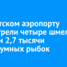 В иркутском аэропорту досмотрели четыре шмелиные семьи и 2,7 тысячи аквариумных рыбок