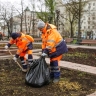 Городские цветники в столице подготовили к весенне-летнему сезону