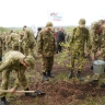 В Башкирии в рамках акции «Зеленая Башкирия» высадят более четырех тысяч деревьев