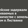 Полицейские задержали подозреваемых в мошенничестве с земельным участком в Листвянке