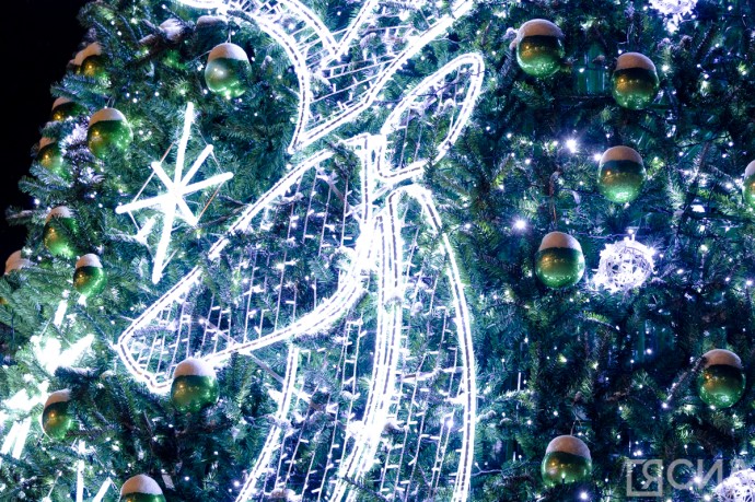 Специалисты дали рекомендации по выбору и транспортировке новогодней ёлки