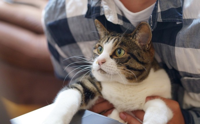 Неработающих россиян предлагают лишить бесплатной медицины Неработающих россиян предлагают лишить бесплатной медицины