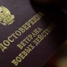 Больше тысячи ветеранов СВО трудоустроились в Приамурье