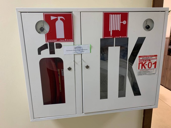 На улице Аустрина в Пензе подожгли квартиру