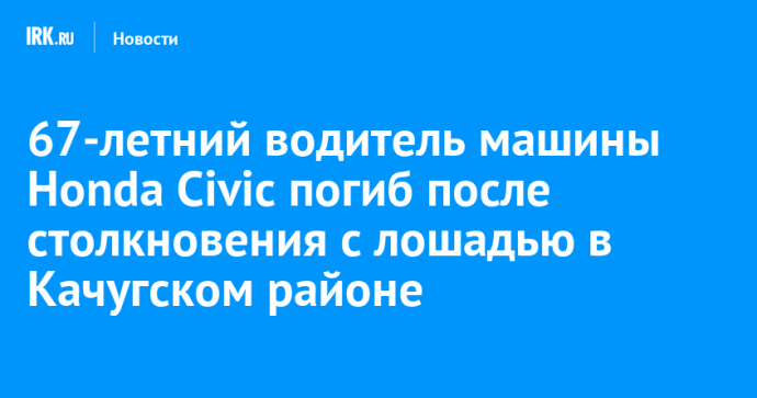 67-летний водитель машины Honda Civic погиб после столкновения с лошадью в Качугском районе