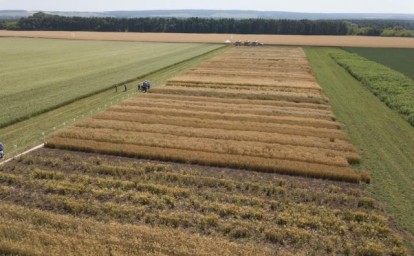 Крупным инвесторам в Башкирии разрешат закладывать арендованную землю