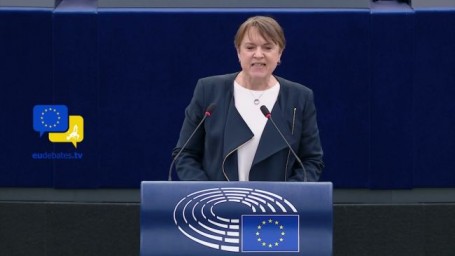 В Европарламенте напомнили, кто взял всю тяжесть войны с фашизмом на себя