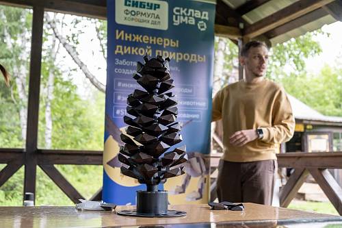 В Приамурье создали самую большую в стране шишку, напечатанную на 3D-принтере