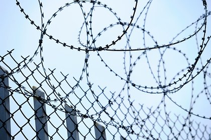 Раскрыты подробности задержания одного из фигурантов дела о теракте в «Крокусе»