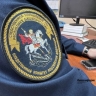 Жителя Башкирии на кладбище убило спиленным деревом