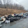 Мусорный коллапс образовался в густонаселенном районе Владивостока
