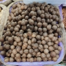 Нежный вкус и невероятная польза — топ-7 орехов для поклонников здорового питания