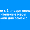 В России с 1 января введут дополнительные меры поддержки для семей с детьми
