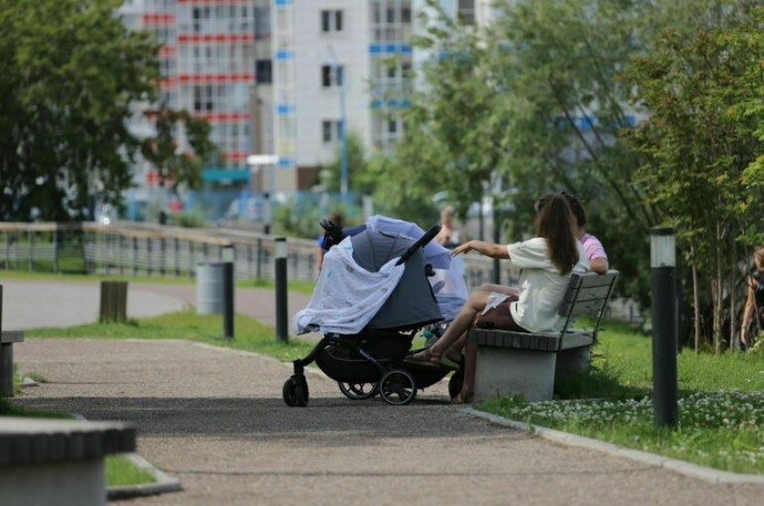 В Красноярском крае получить маткапитал и детское молочное питание станет проще