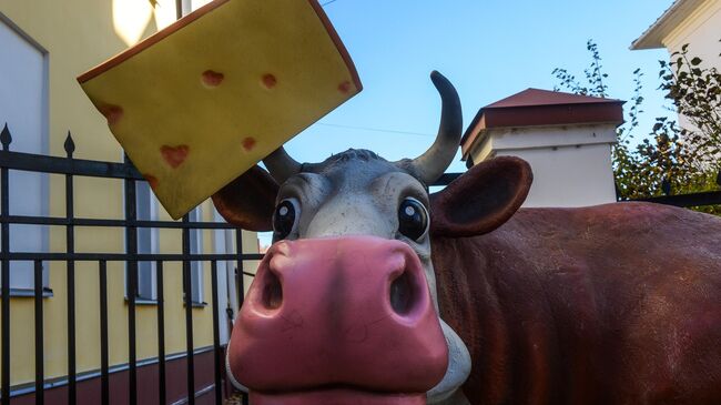 В Костроме разыскивают вандалов, оторвавших рог на скульптуре коровы