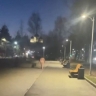 В Ярославле по парку и торговому центру разгуливала голая девушка