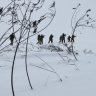 В Днепропетровской области напали на боевиков «Айдара»