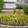 Форум ландшафтного дизайна пройдет в Благовещенске
