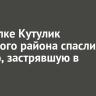 В поселке Кутулик Аларского района спасли косулю, застрявшую в заборе