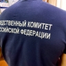 Бастрыкин поручил возбудить дело по факту отравления женщины и ребенка в Якутске