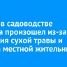 Пожар в садоводстве Братска произошел из-за сжигания сухой травы и мусора местной жительницей