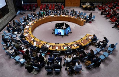 Совет Безопасности ООН проведет 29 апреля заседание по Украине