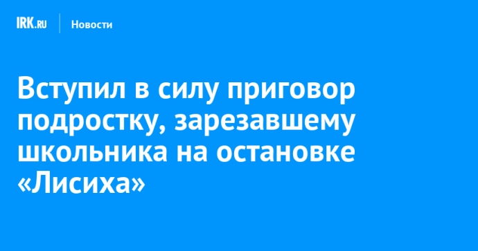 Вступил в силу приговор подростку, зарезавшему школьника на остановке «Лисиха»