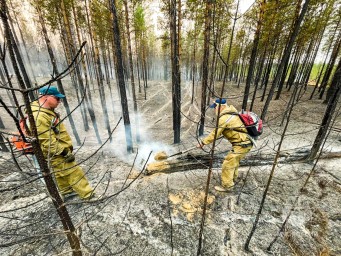 Десять лесных пожаров потушили за сутки в Якутии