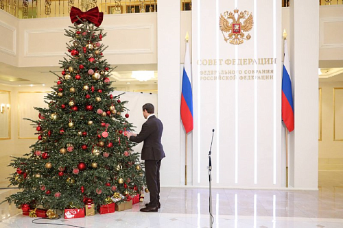 Сенатор исполнит новогоднюю мечту 9-летнего мальчика из Приамурья