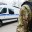 В Дагестане задержана женщина, которая готовила теракт