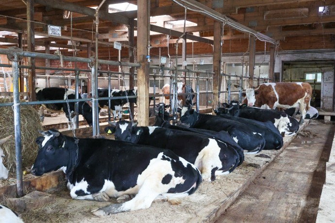 В СФ призвали поддержать аграриев, временно приостановивших работу