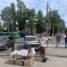 В Курске выявили семь случаев незаконной торговли