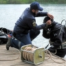 В Новгородской области к купальному сезону уже проверили полсотни мест