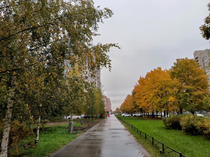 Синоптик Леус: Температура в Москве вернется к климатической норме 17 октября Синоптик Леус: Температура в Москве вернется к климатической норме 17 октября