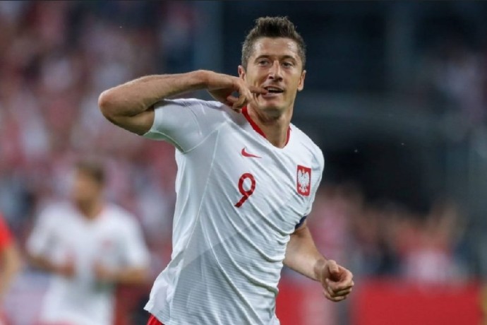 Гол Левандовского помог Польше обыграть Литву в отборочном турнире чемпионата мира Гол Левандовского помог Польше обыграть Литву в отборочном турнире чемпионата мира