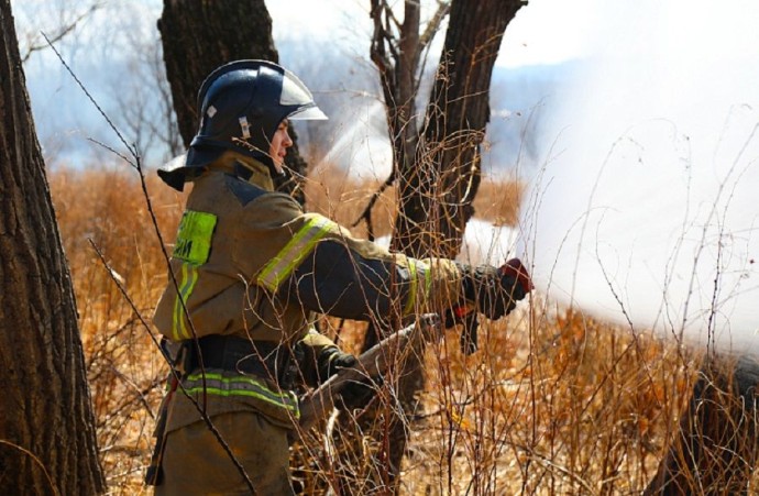 Лесной пожар полыхает в Приморье почти на 300 гектарах уже неделю