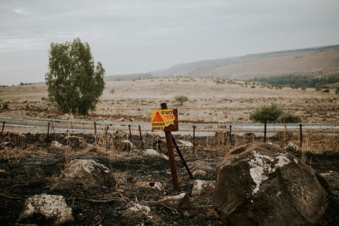 Учёными доказаны лекарственные свойства древнего растения, упомянутого в Библии