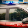 Пензенец закатил скандал после просьбы оплатить счет в баре