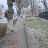В Бурятии чуть-чуть похолодает