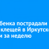 333 ребенка пострадали от укусов клещей в Иркутской области за неделю