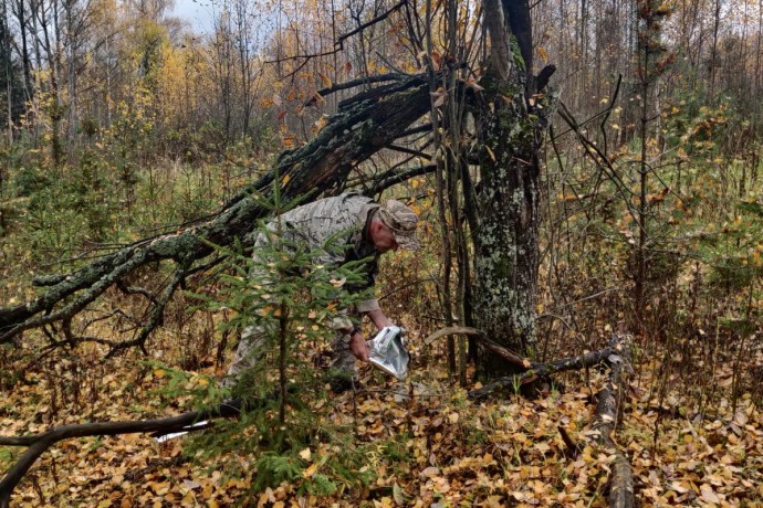 Кампанию по вакцинации диких животных от бешенства провели в Ярославской области