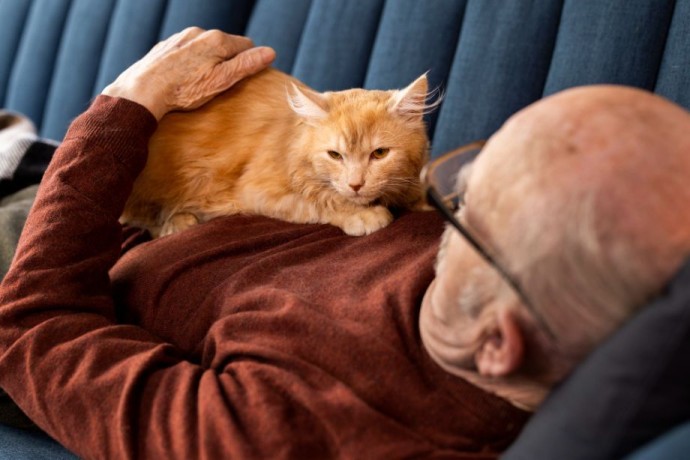 Людям за 60 лет стоит держаться подальше от кошек: ученые объяснили почему Людям за 60 лет стоит держаться подальше от кошек: ученые объяснили почему