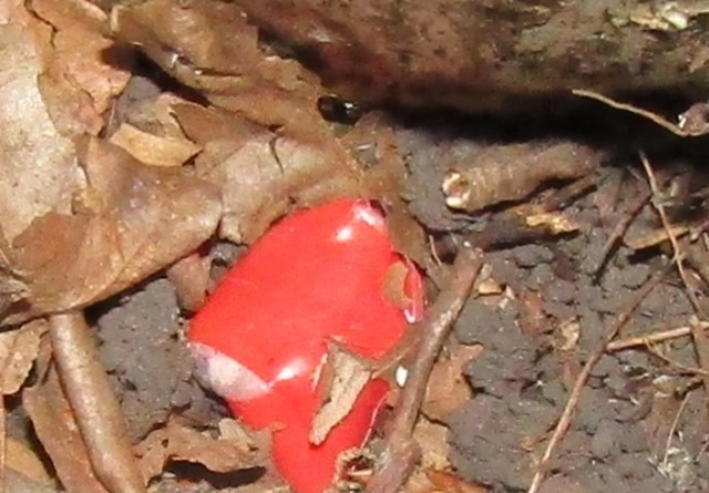 В Мордовии на 7 лет осудили 20-летнюю "закладчицу" В Мордовии на 7 лет осудили 20-летнюю "закладчицу"