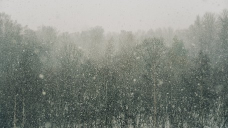 Ночью 1 января в Ленобласти температура местами опустится до -21 градуса