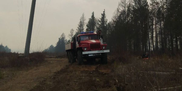 Страшный лесной пожар разбушевался на севере Бурятии