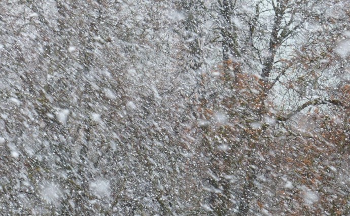 Метель и сильный ветер прогнозируются в пяти районах Сахалинской области Метель и сильный ветер прогнозируются в пяти районах Сахалинской области