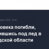 Три человека погибли, провалившись под лед в Вологодской области